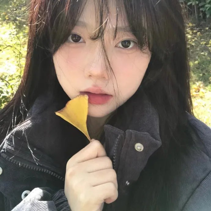 雾中来客