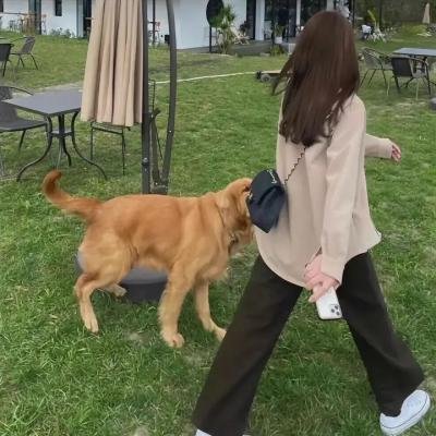 华生