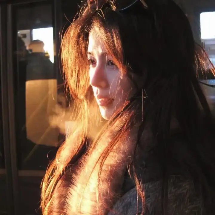 哥斯拉对美加洛